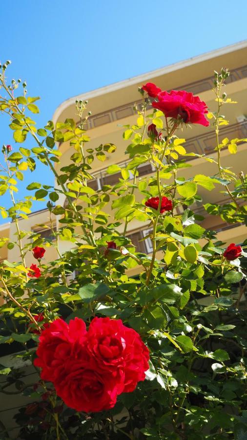 Joya Park Apartments Złote Piaski Zewnętrze zdjęcie